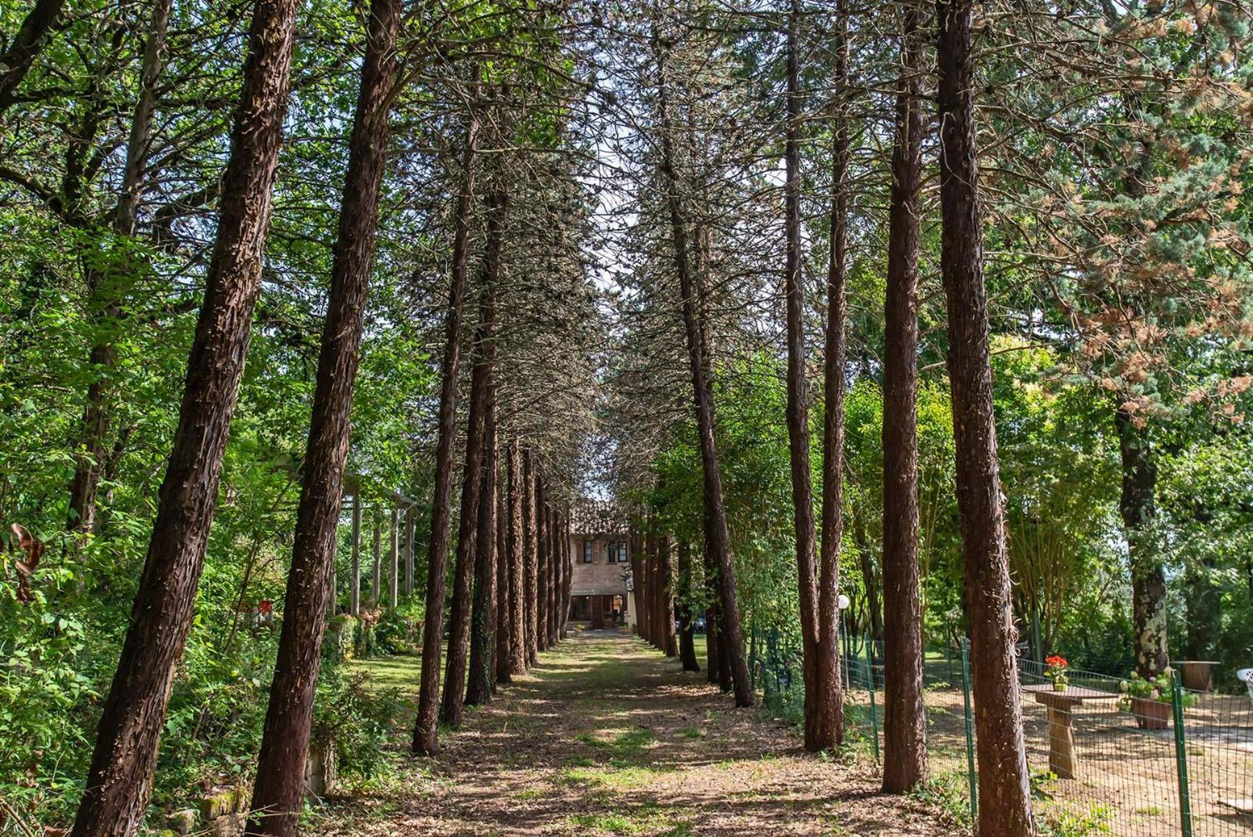 Agriturismo Villa Alari Четона Экстерьер фото