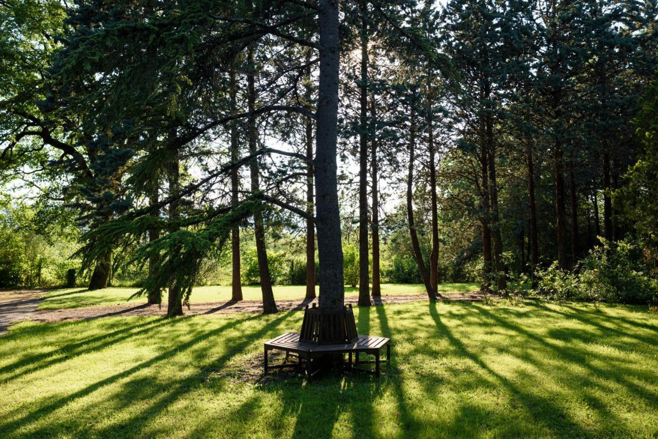 Agriturismo Villa Alari Четона Экстерьер фото